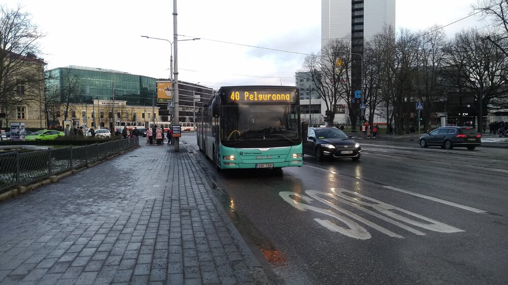 Автобусы Таллина