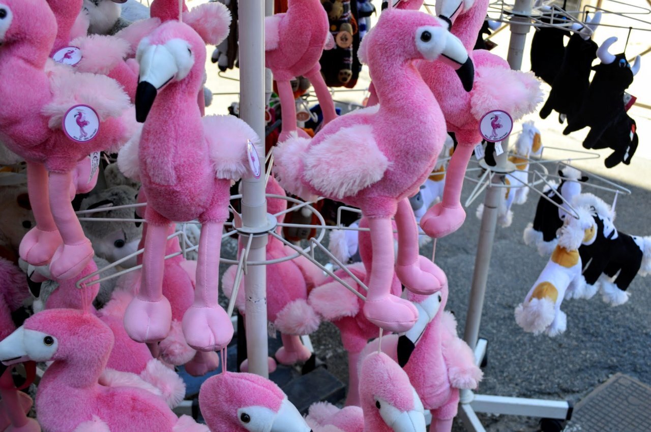 Розового фламинго предлагают увезти с собой на память