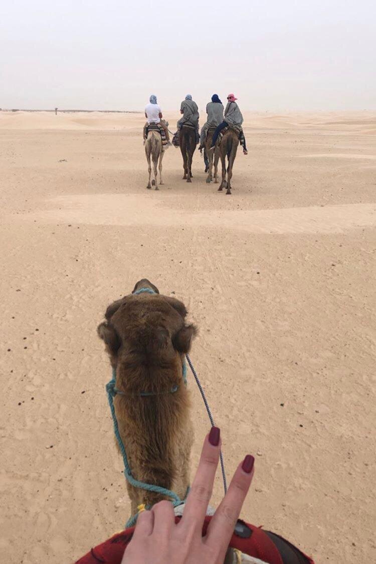 Прогулка по пустыне