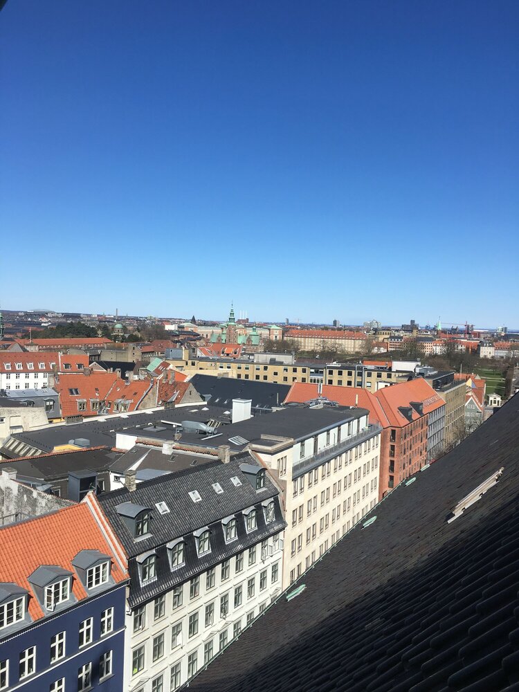 Виды на крыши Копенгагена при спуске вниз