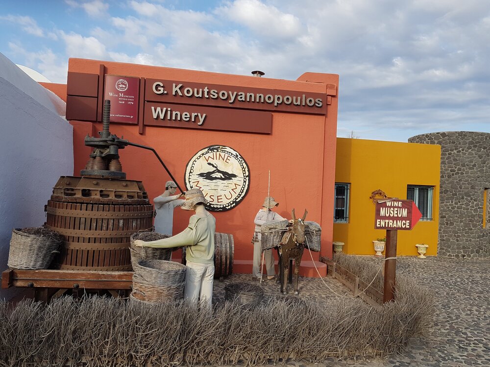 Музей вина и винодельня недалеко от Камари