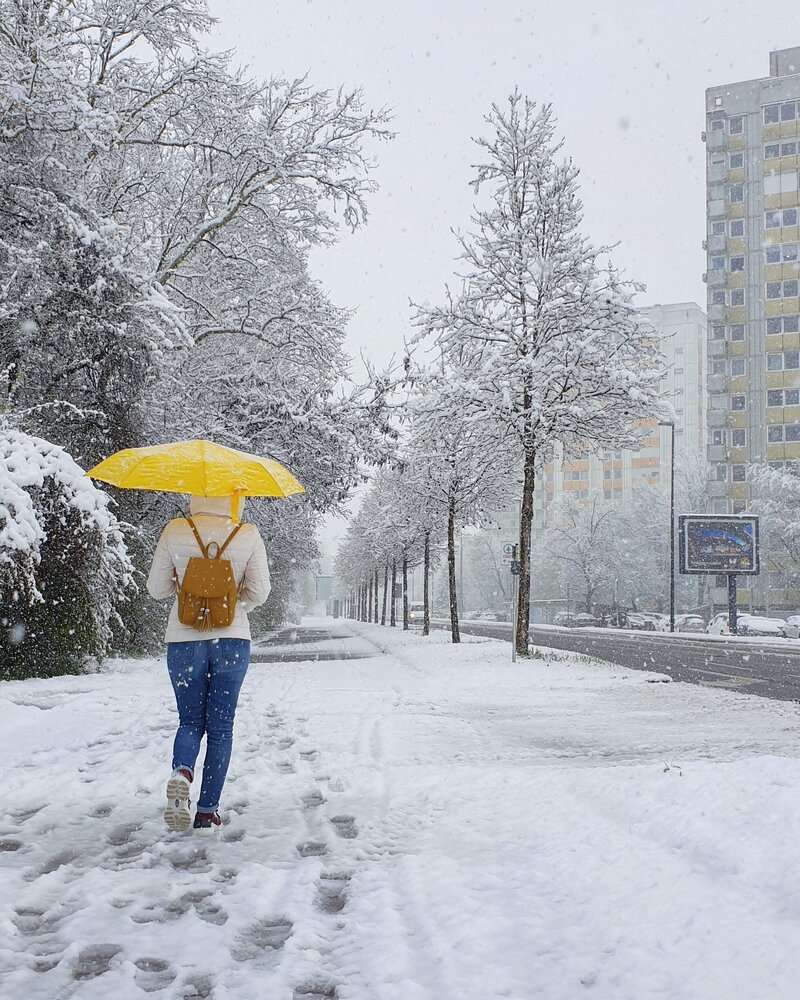 В декабре-январе в Любляне выпадает немного снега