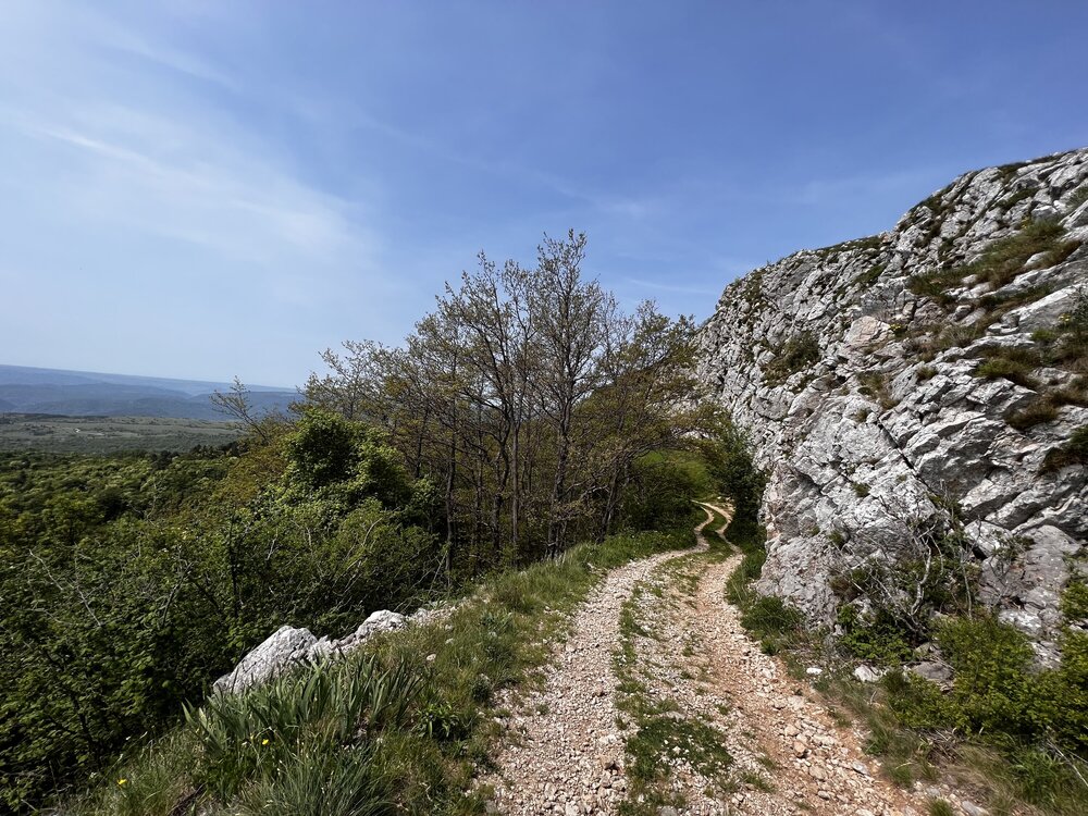 Типичный рельеф Динарид в Словении - камни большие и маленькие