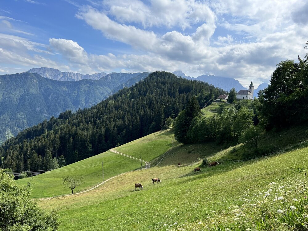 Солчавские коровки, альпийская панорама и церковь