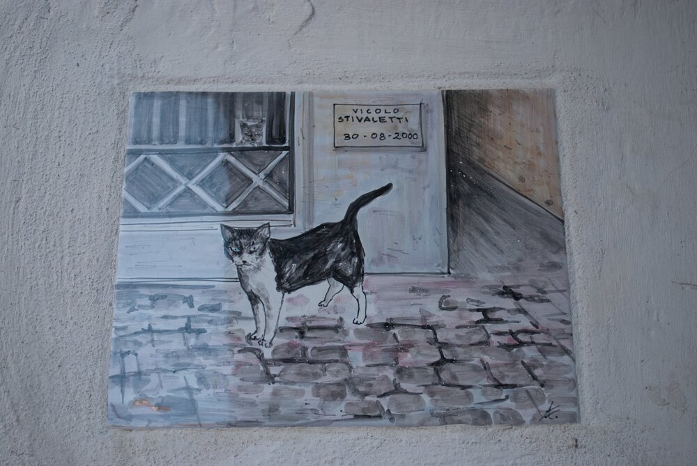 A portrait of a cat on the wall of a house in Old Town