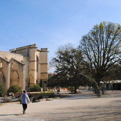 Avignon: sights of the papal city in one day