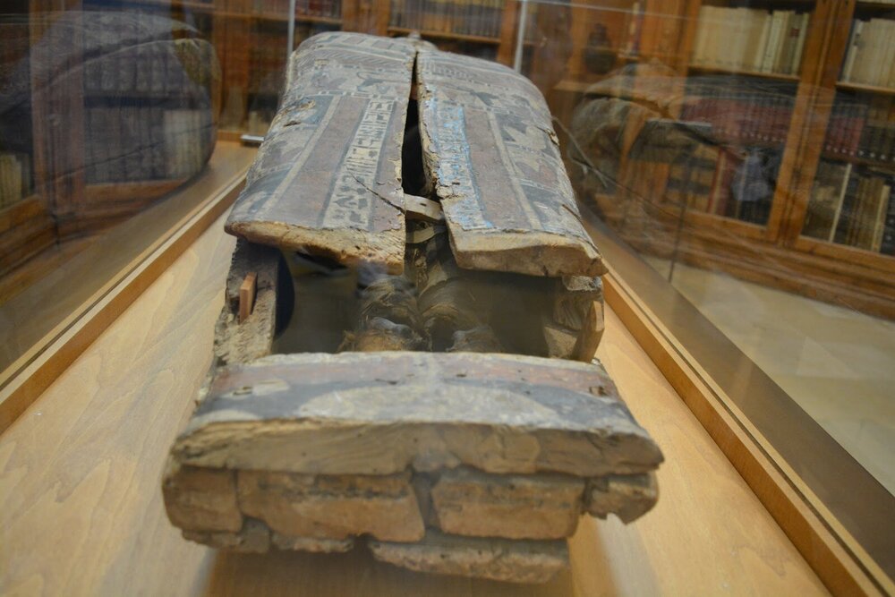 Museum exhibit. Egyptian sarcophagus with a mummy inside.