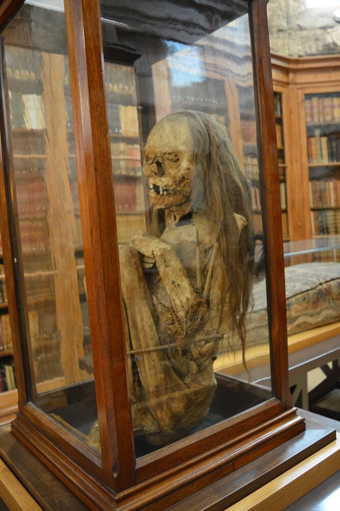 A museum exhibit, a mummy from Peru