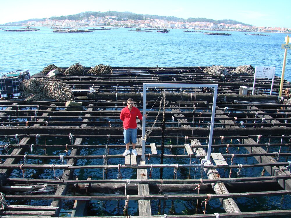 The mussel farming raft