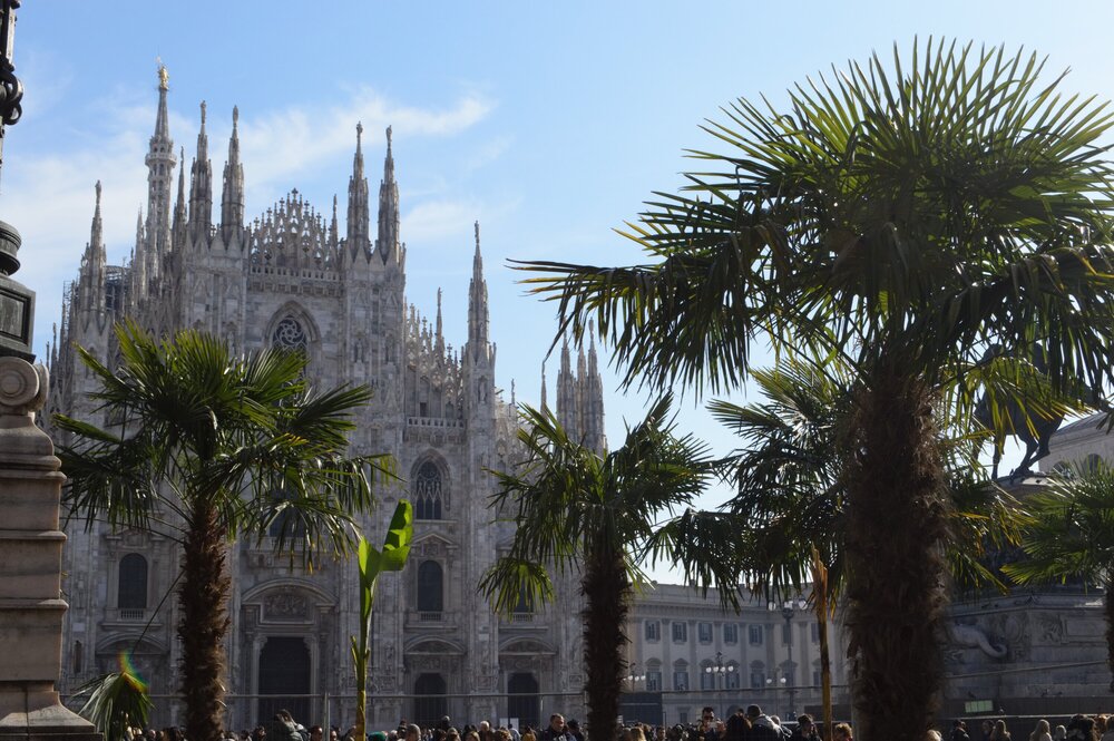 Palm trees near the Duomo