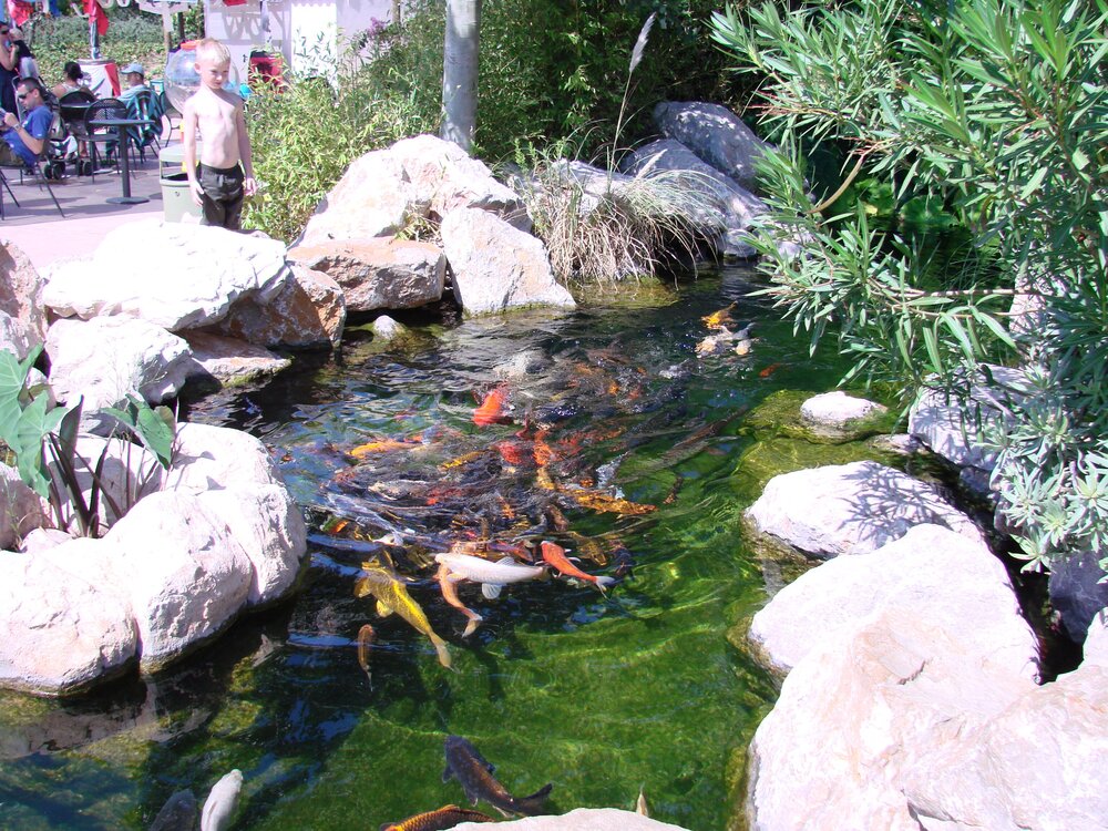 Aquarium Park