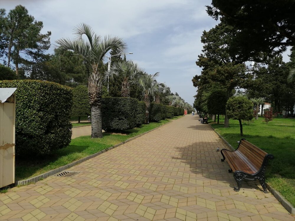 The boulevard is well-maintained