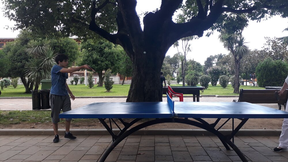 You can play table tennis