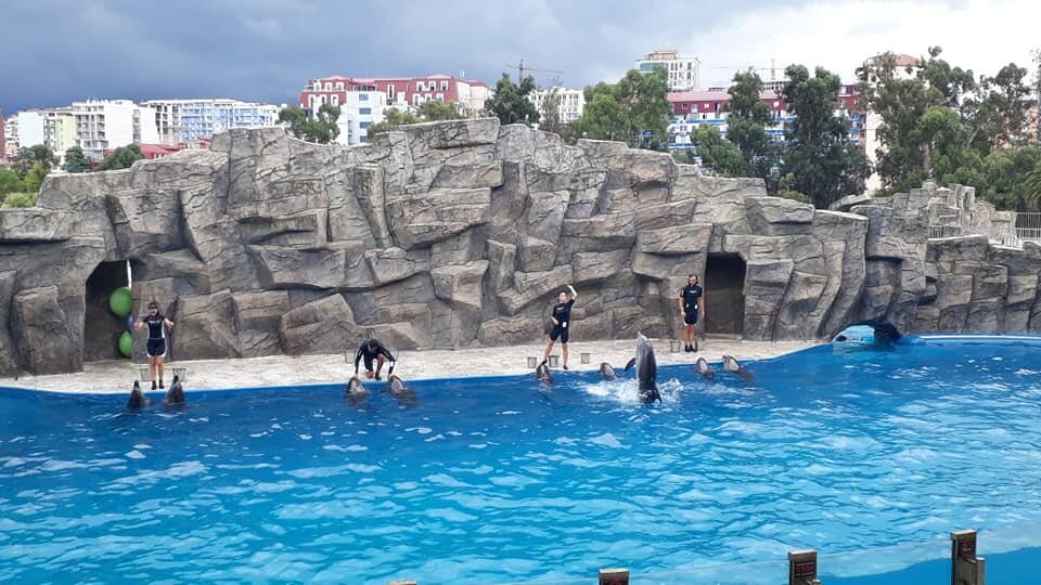 Dolphinarium