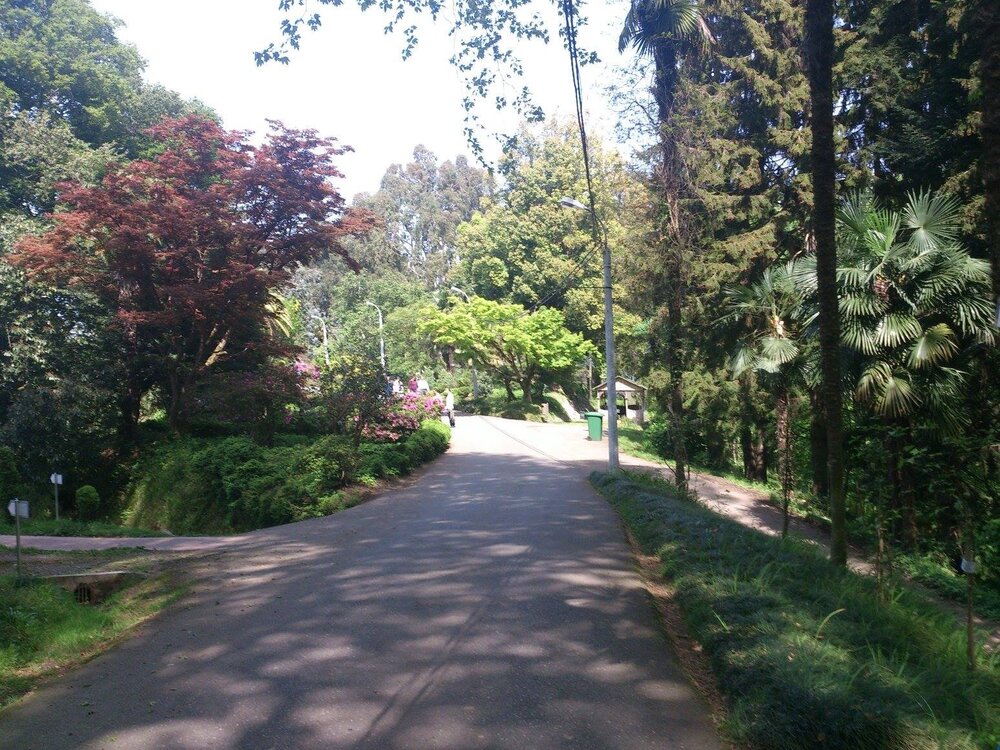 Corners of the Botanical Gardens