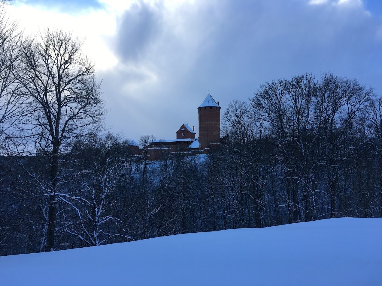 View of the castle from the Dyne Valley