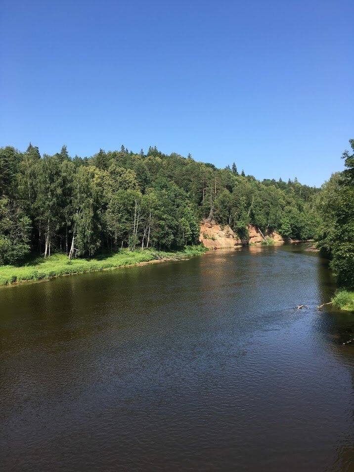 On the route along the Gauja. View of the river