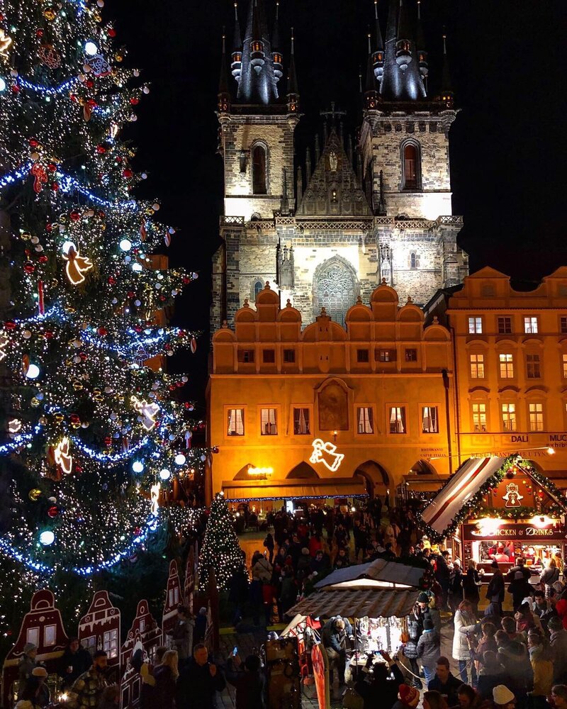 Main Christmas Tree of the Czech Republic: Old Town Square, Prague