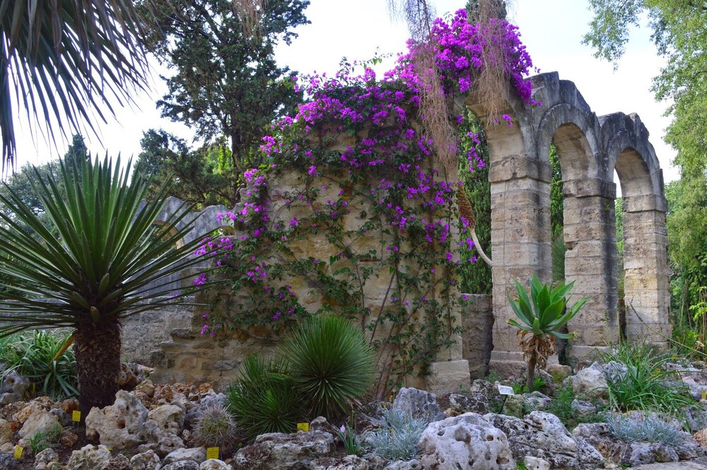 In the botanical garden, everything is braided with vines and flowers