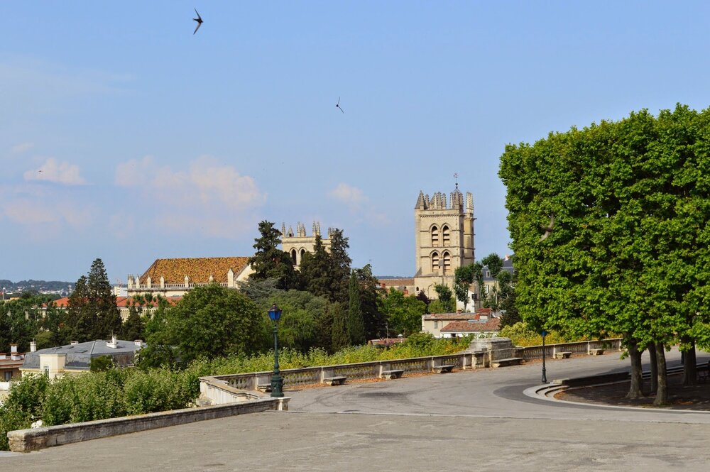 View of St. Pierre Cathedral from the park