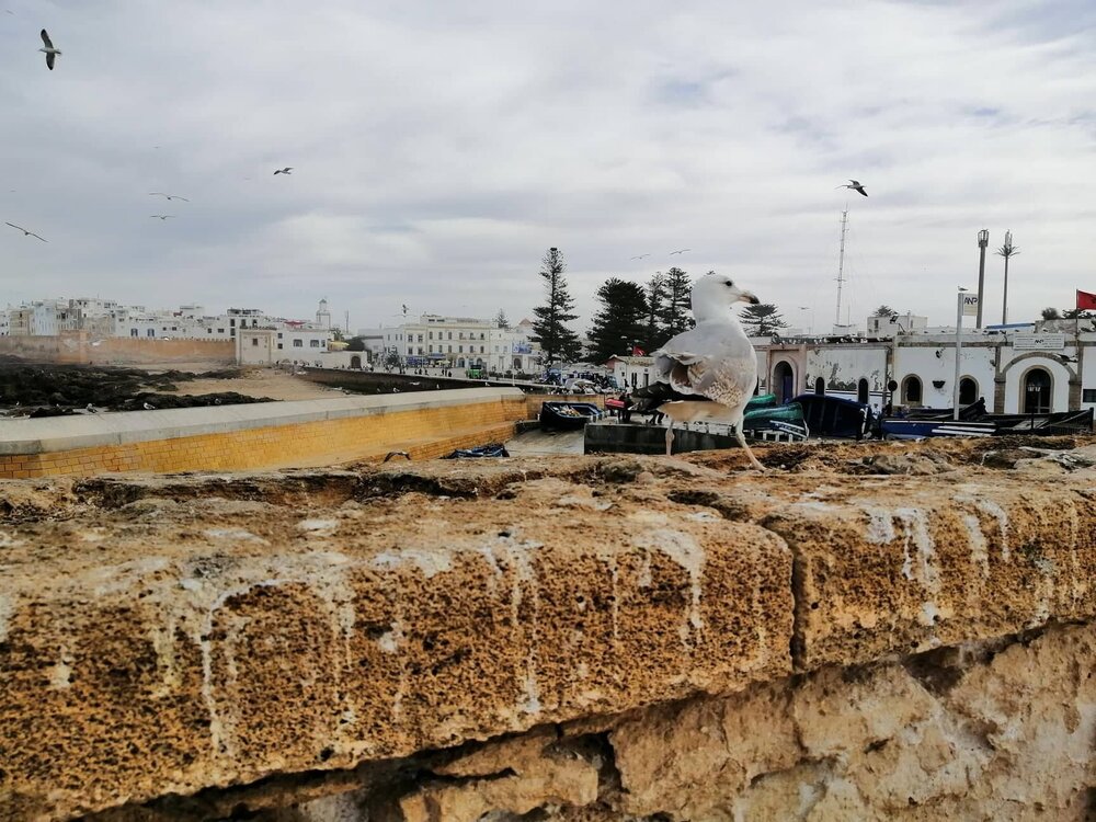 Essaouira Fortress