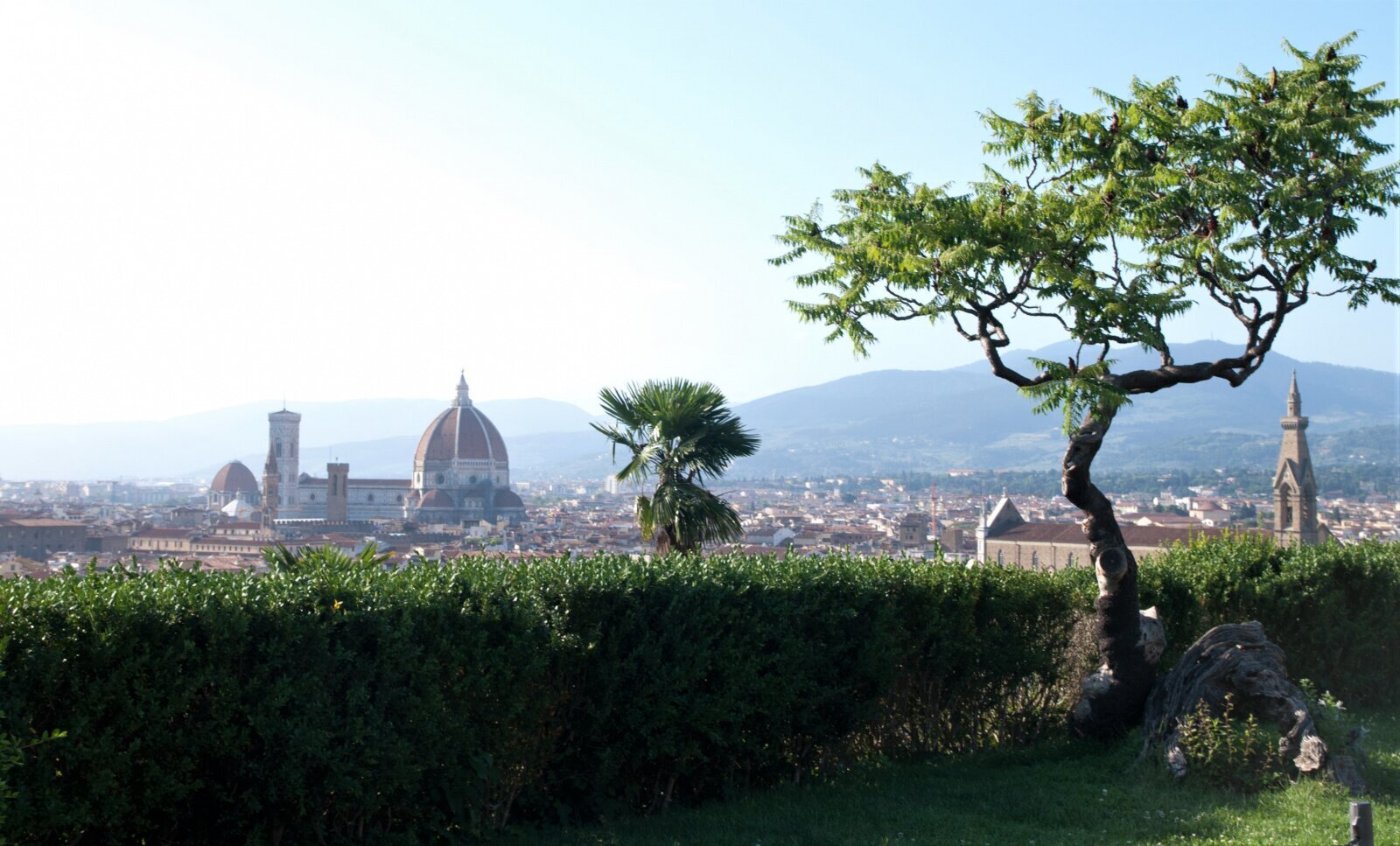 A guide for the budget traveler: free museums, entertainment, parking and wi-fi in Florence