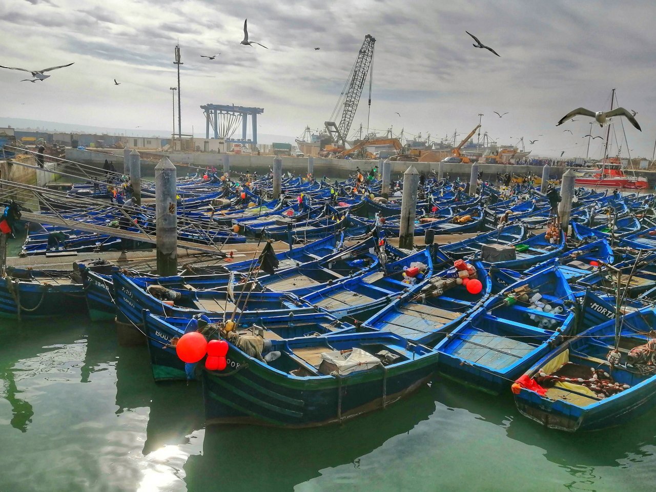 The port in Essaouira is cargo and fishing only