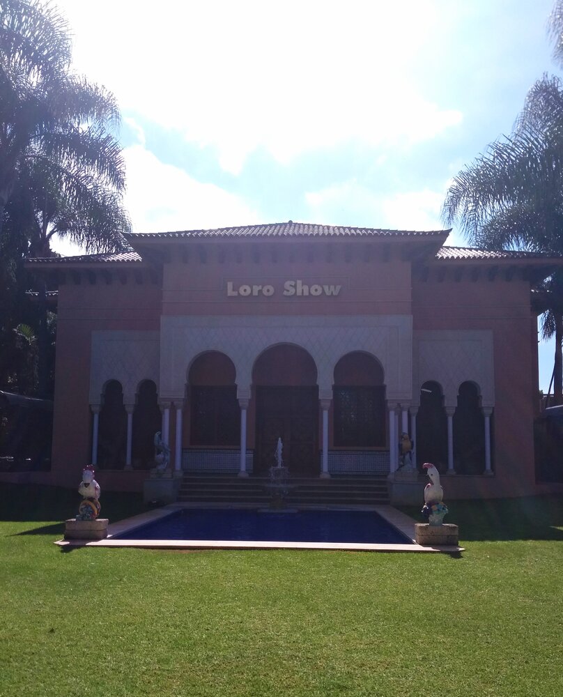 The pavilion where the parrot shows are held.
