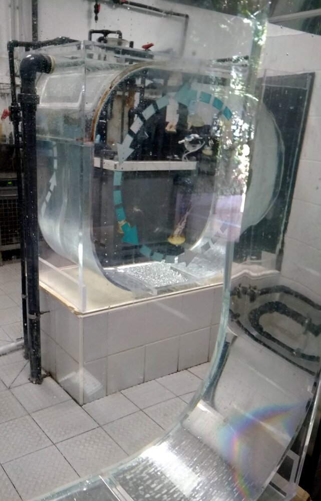 And this is the hatchery where they raise the smaller jellyfish to feed the larger ones.