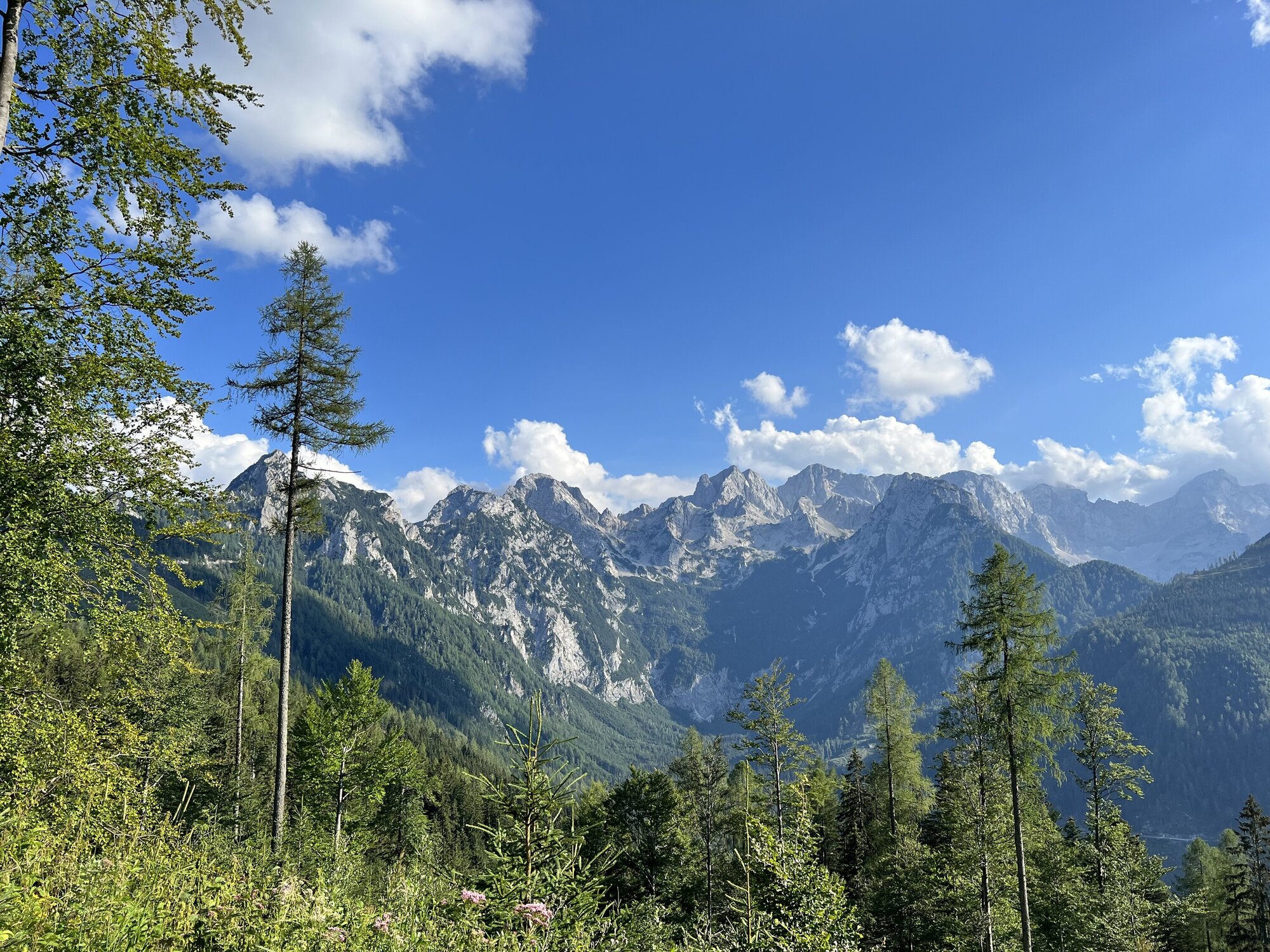 All Slovenian Mountains Julian And Kamnik Savina Alps Karavanki And 