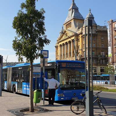 Автобусы, троллейбусы, трамваи и паромы: весь общественный транспорт Будапешта