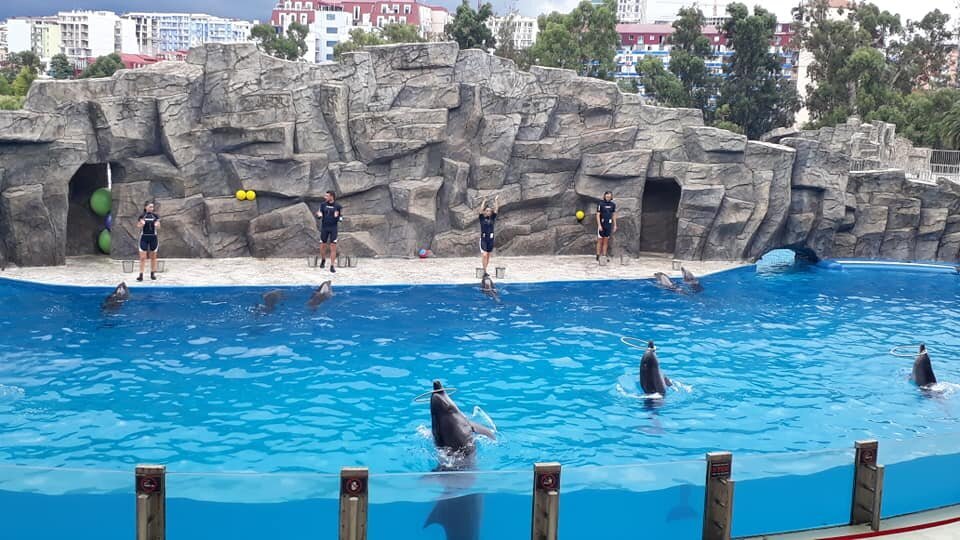 Батумский дельфинарий