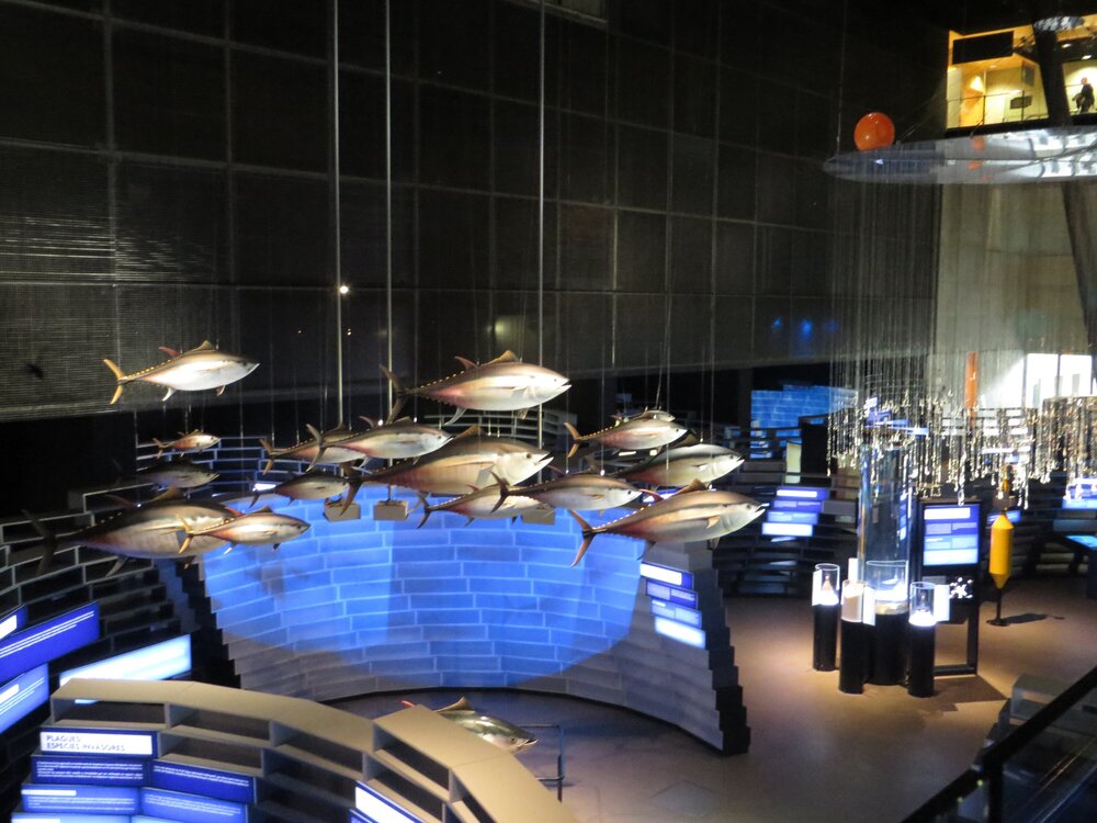 Exhibits of the interactive museum